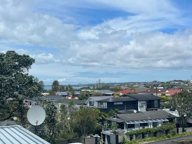 2/8 Rewi Street Torbay_1