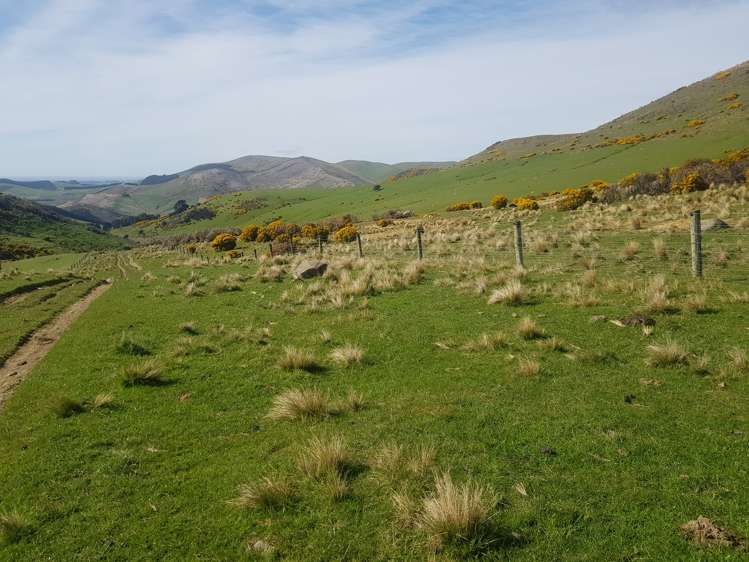 173 Glenfalloch Road Catlins Surrounds_8