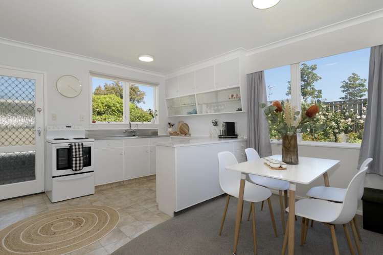 48 Seventeenth Avenue Tauranga South_5