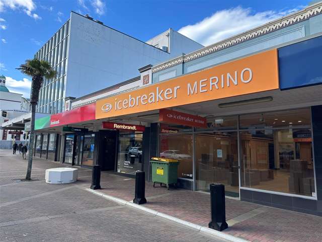 65 Emerson Street Napier South_2
