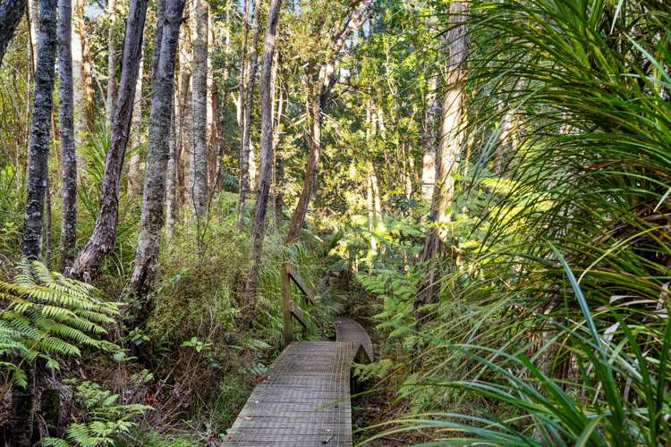 39a Brunton Place Glenfield_22