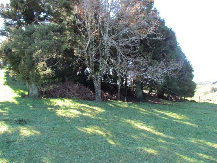 937 Whakamarama Road Whakamarama_5