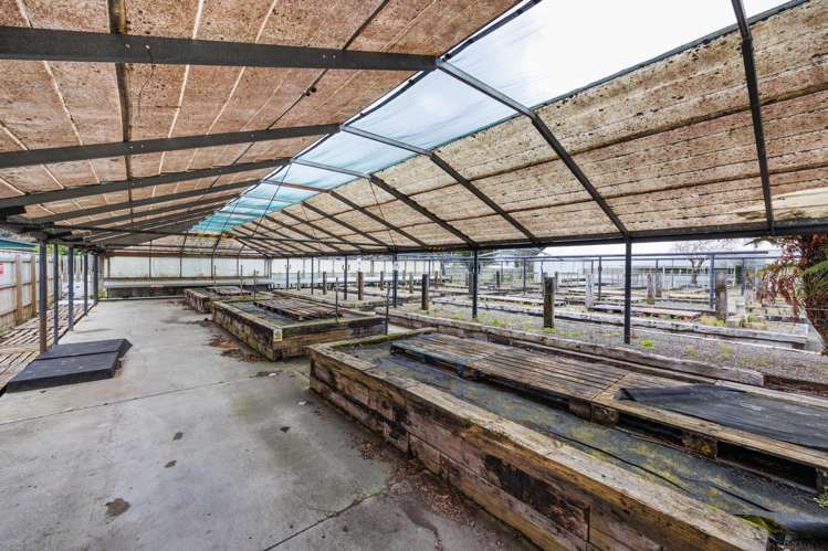 136 Cook Street West End_15