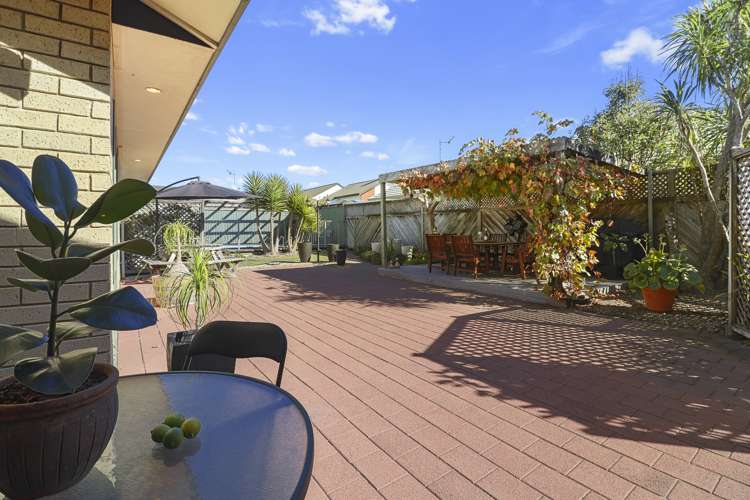 53 Seales Road Morrinsville_18