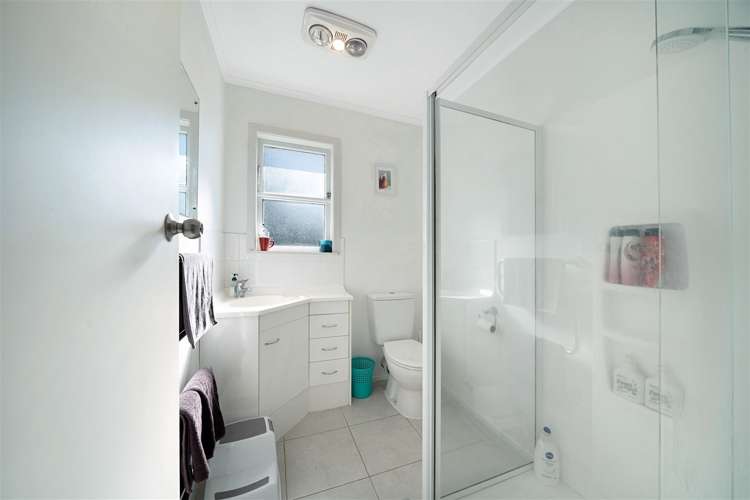 17 Linden Street Mount Roskill_9