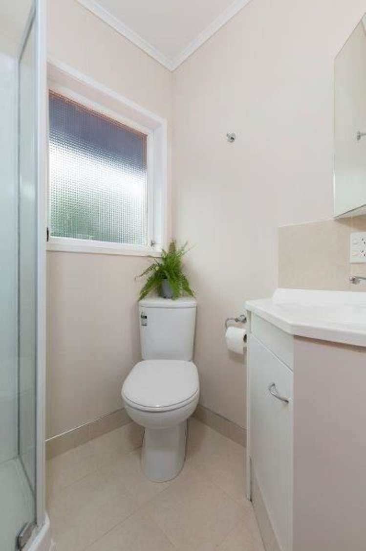 111 Landscape Road Mount Eden_14