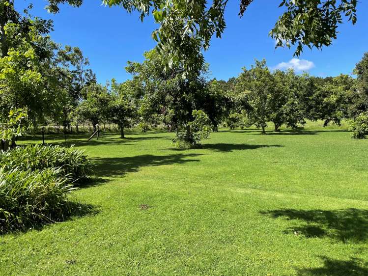 51 Kaipara Flats Road Warkworth_18