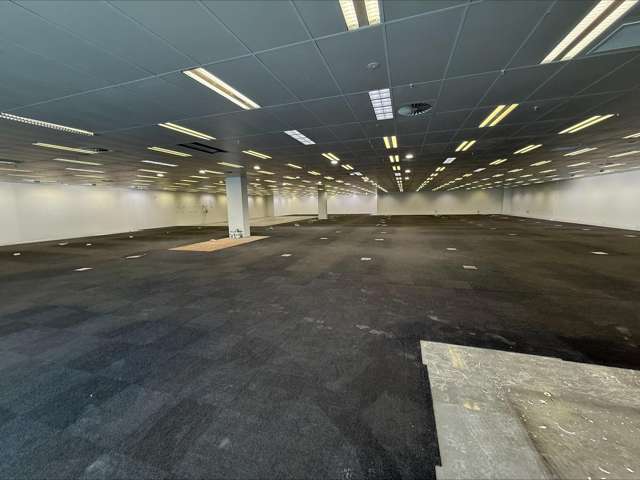 Tenancy 1, 683 Cameron Road Tauranga South_3