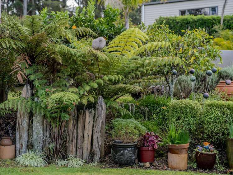 17 Alderton Drive Kerikeri_10