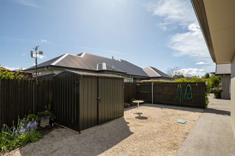 7 Covent Gardens Springlands_19