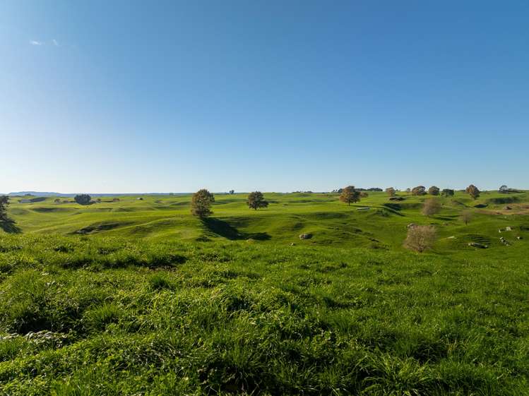 2005 Old Taupo Road Putaruru_21