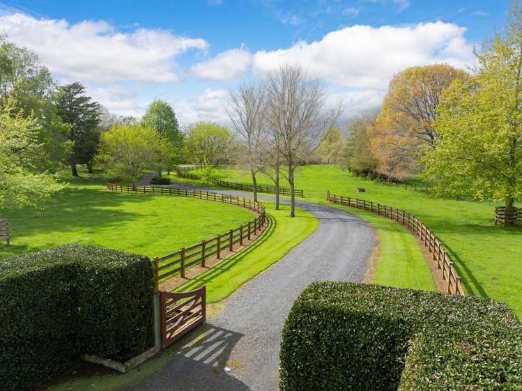 160 Tower Road Matamata_5