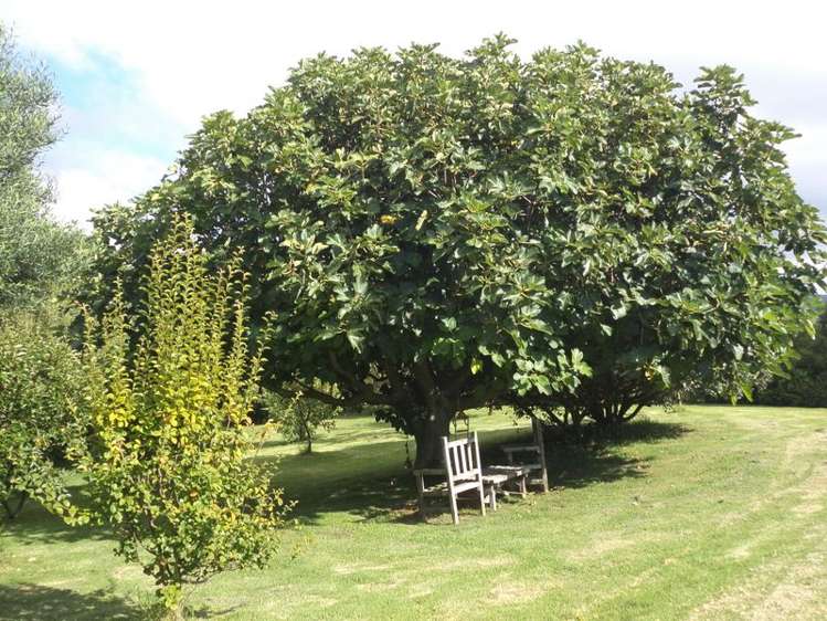 10 Angus Lane Waihi Beach_10