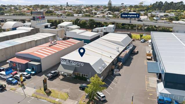 15 Macdonald Street Mt Maunganui_4