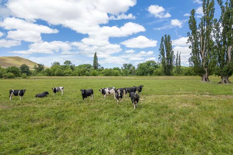 566 Pourerere Road Waipawa_25