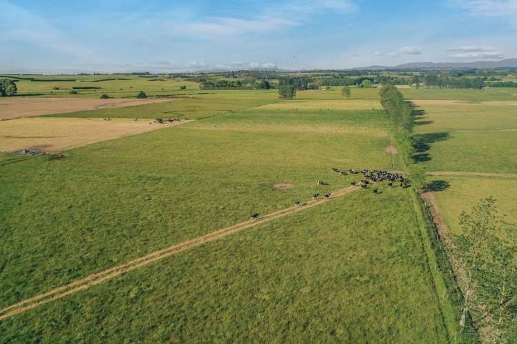 Timaru-Pleasant Point Highway Timaru Surrounds_10