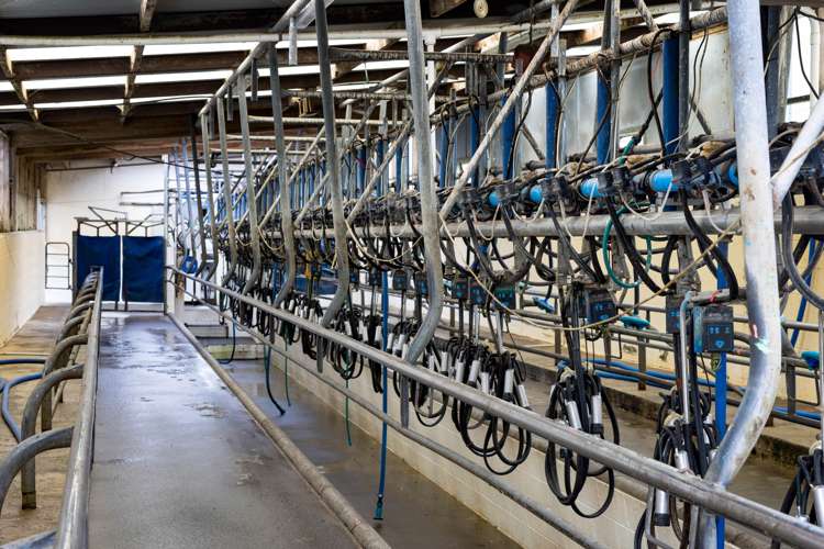 256 Lower Stuart Road Eltham_1