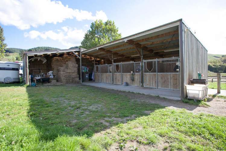 321 Newman Road Parawera_5