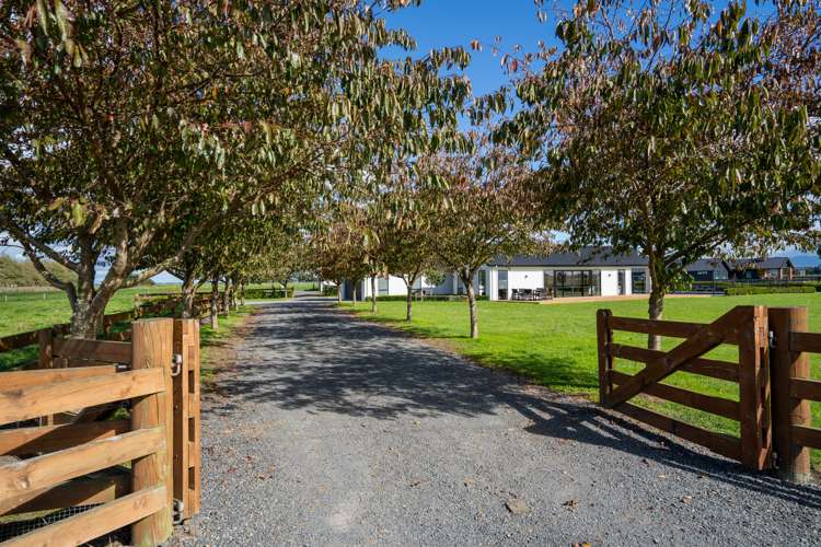 243 Parallel Road Ohaupo_6