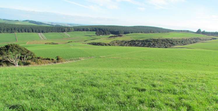 749 Woodslea Downs Road Wyndham Surrounds_1