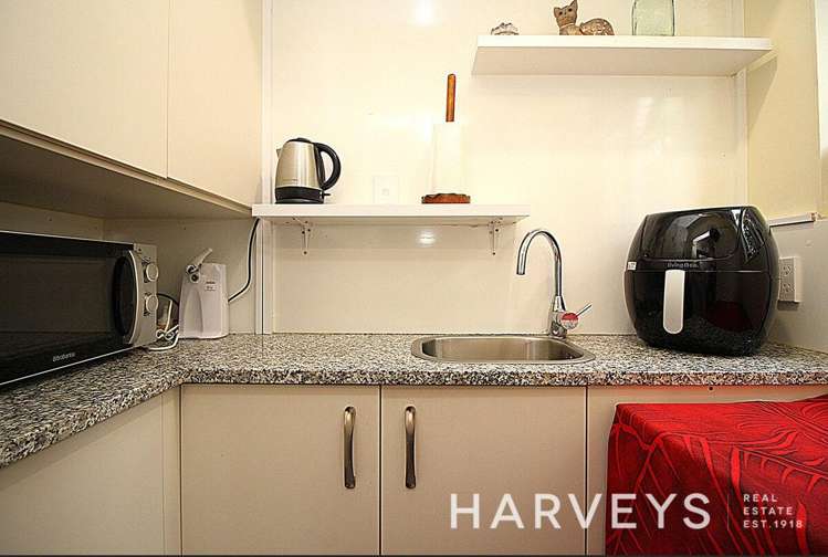 21a Saxon Street Waterview_8