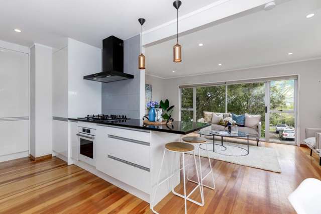 13 Seabar Place Glen Eden_4