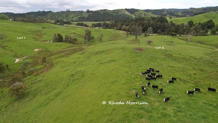 Golden Stairs Rd Maungaturoto_6