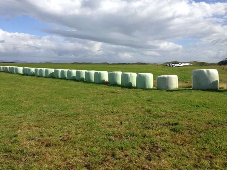 1110 Waimatuku Bush Road Taramoa_15