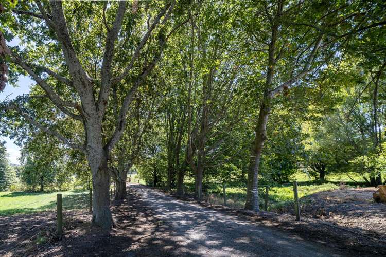 Lot 1/4/366 Karapiro Road Karapiro_31