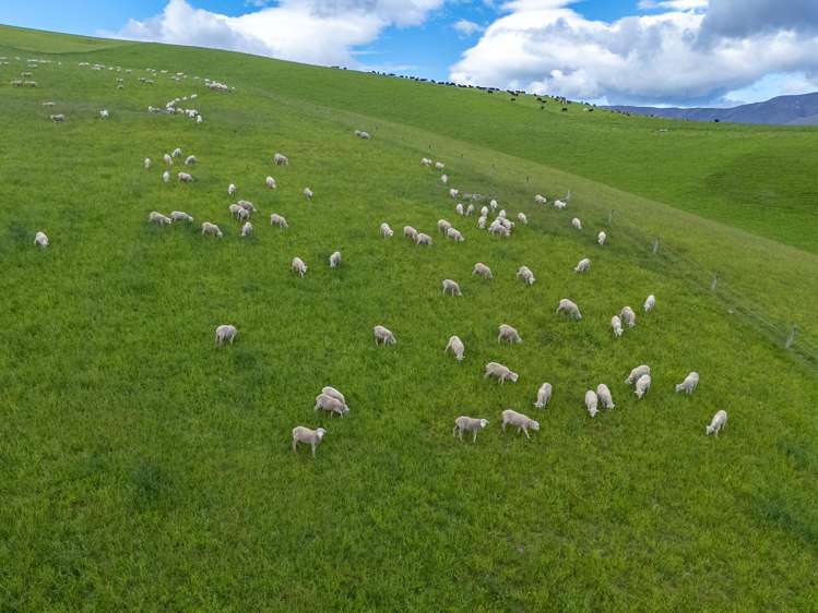 761 Mount Nessing Road Albury_1