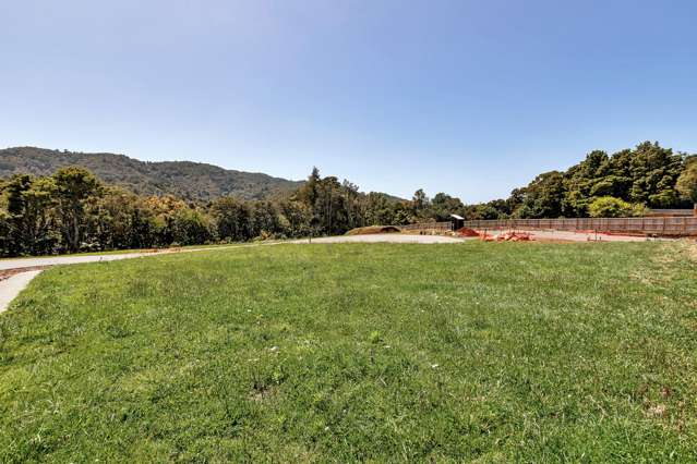 Awanui Lane Maunu_1