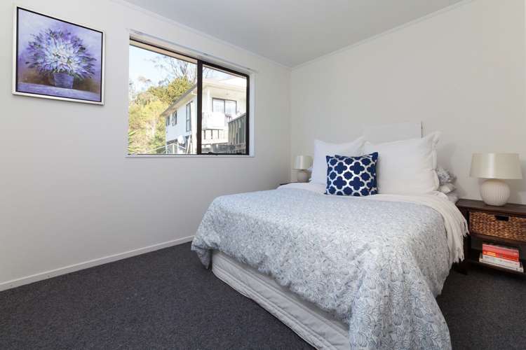 41 Danube Lane Glen Eden_7