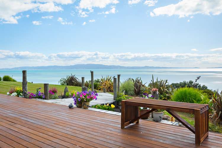 25d Tapu Coroglen Road Tapu_10