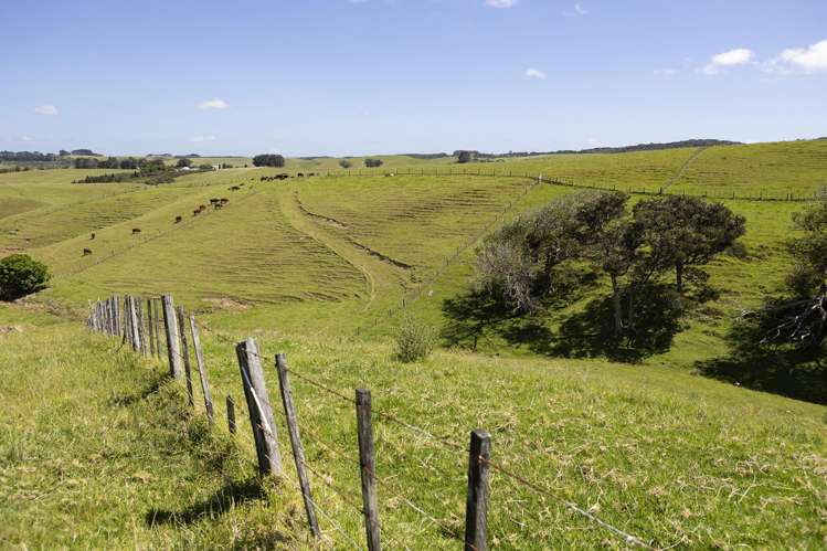 449 Church Road Kaitaia_16