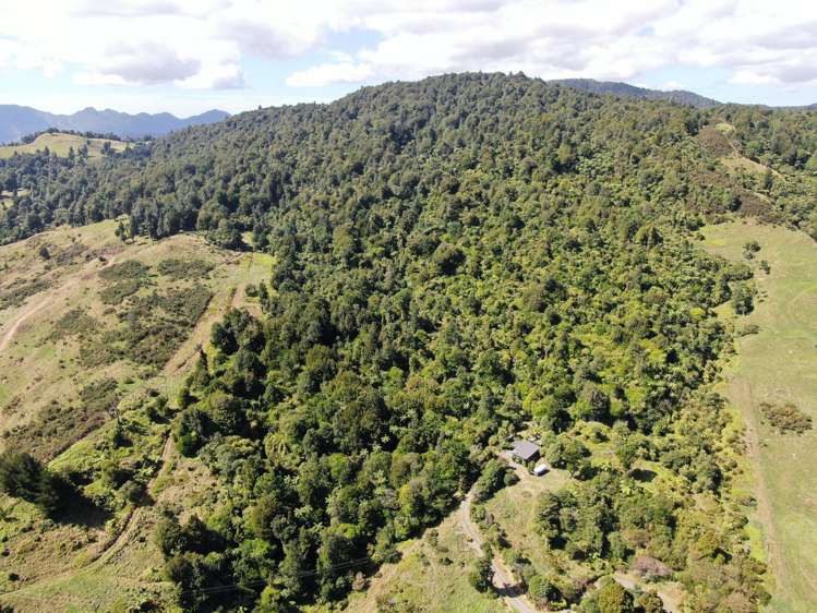 210A Goble Road Komata_40