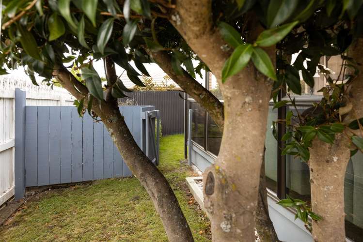 9 Faulkland Drive Witherlea_18