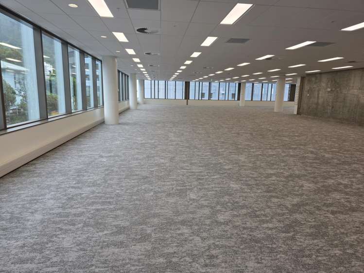 55 Molesworth Street Thorndon_9