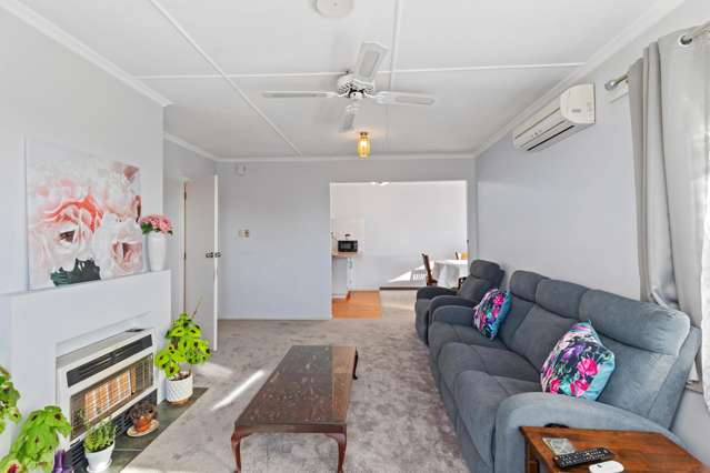 39 Winchester Street Levin_3