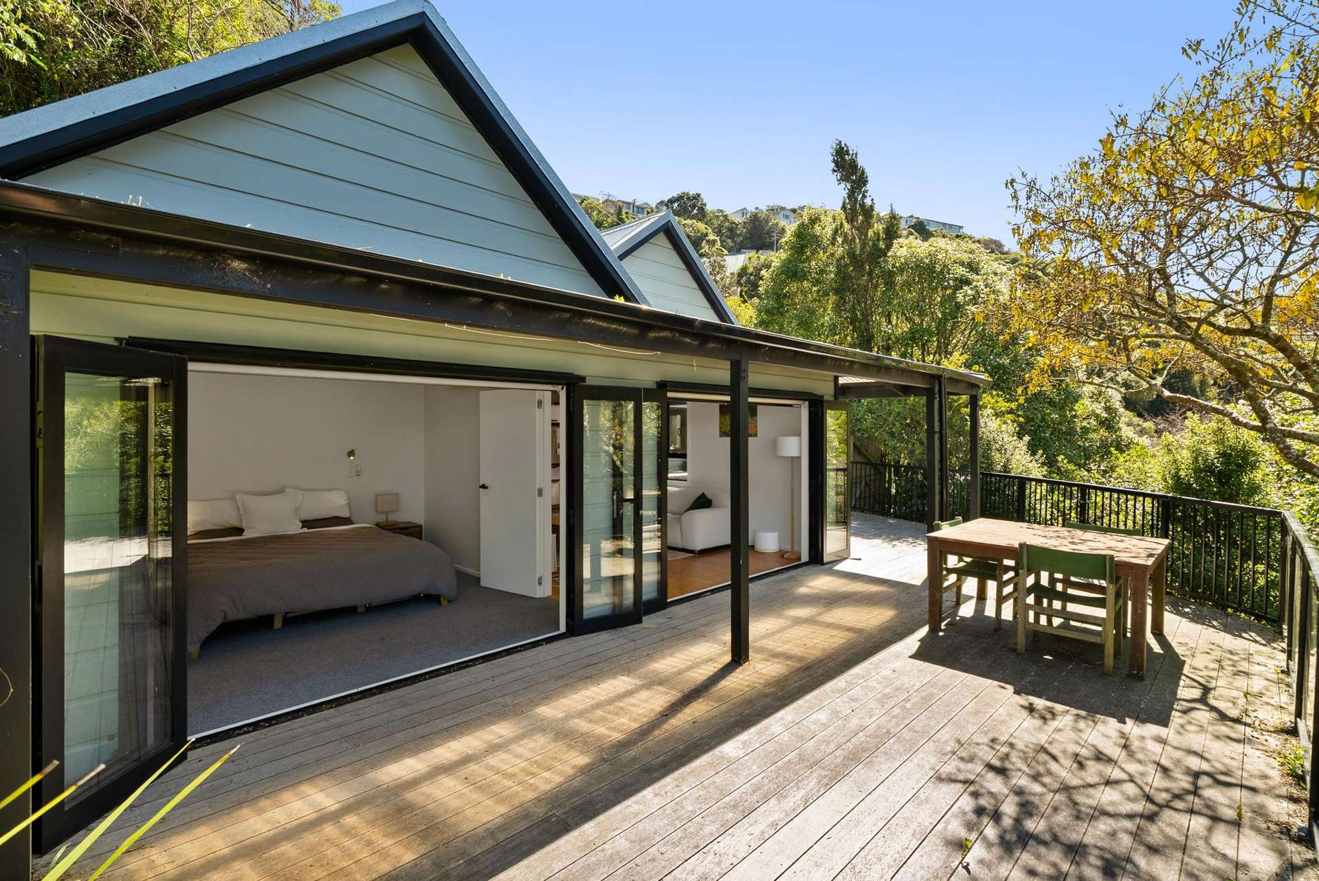 6 Irvine Street Aro Valley_0