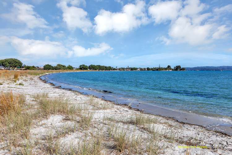 14 Albany Road One Tree Point_9