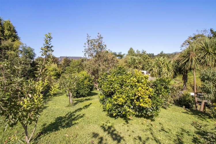 10 Highfields Drive Katikati_15