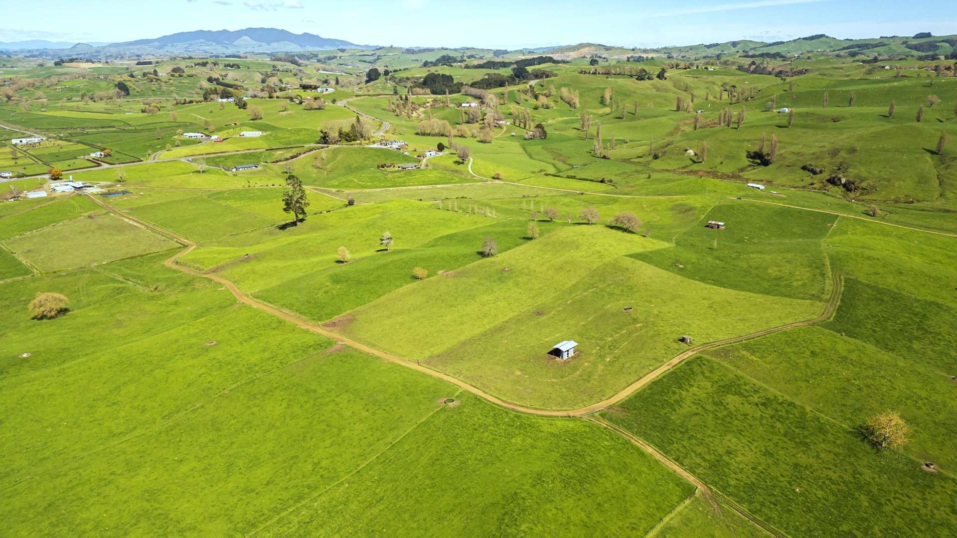 226a Buckland Road Matamata_0