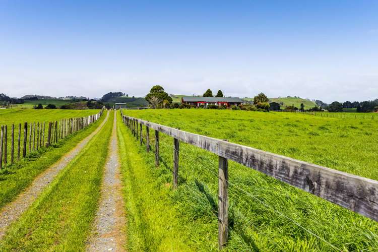 196 Mokau Road Urenui_35