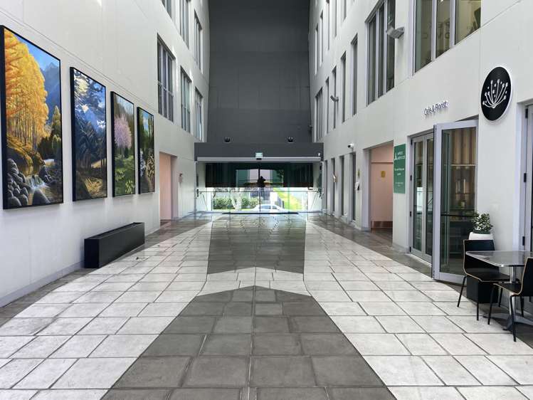 L1-2/14-16 Normanby Road Mount Eden_18