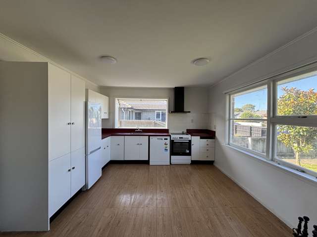 88 Blankney Street Hornby_1