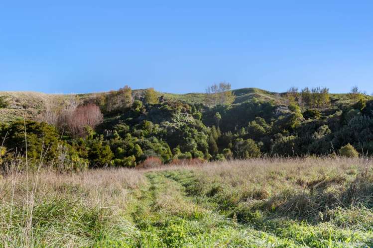 1652 Waikaretu Valley Road_5