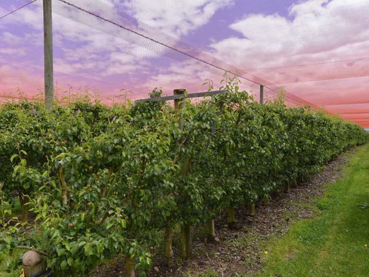 108 Pugh Road Hope_20