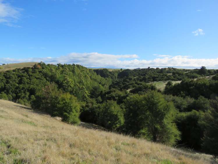 507 Apley Road Puketapu_12