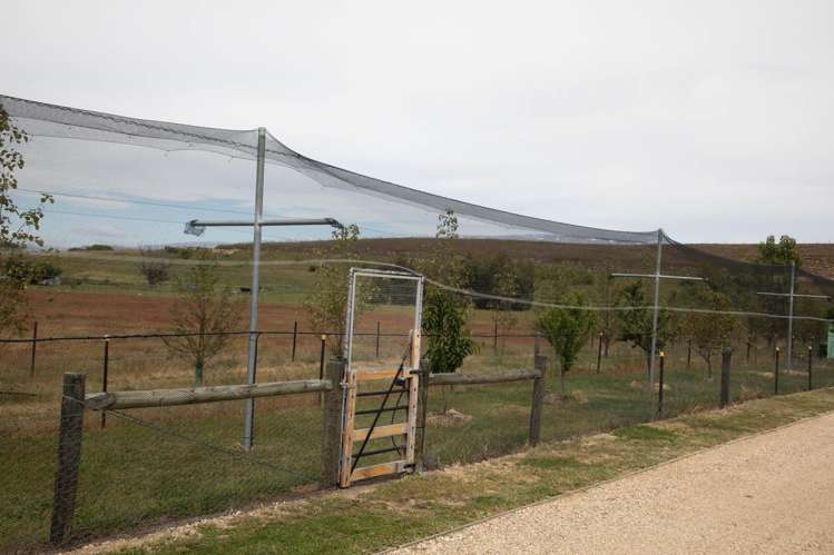 57 Golden Road Alexandra_35