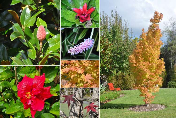 65 Pahi Road Paparoa_32